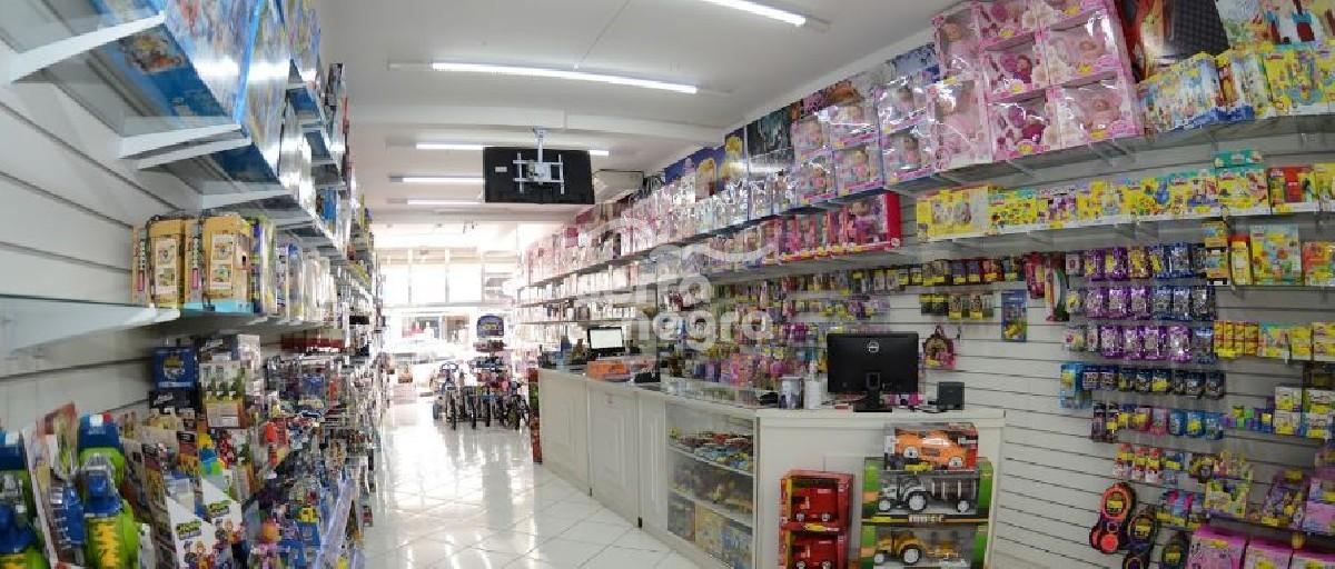 Info Serra - Brinquedos em Serra Negra/SP no Circuito das Águas Paulista